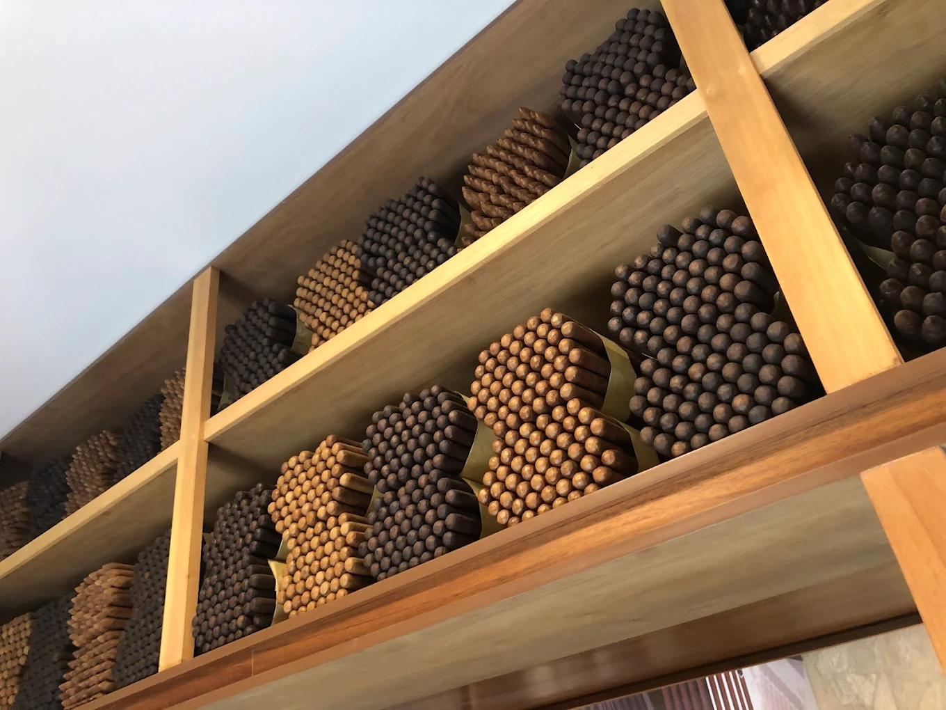 Real Fábrica de Tabacos 8