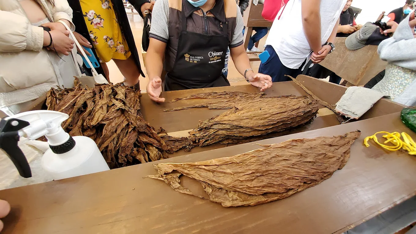 Real Fábrica de Tabacos 3