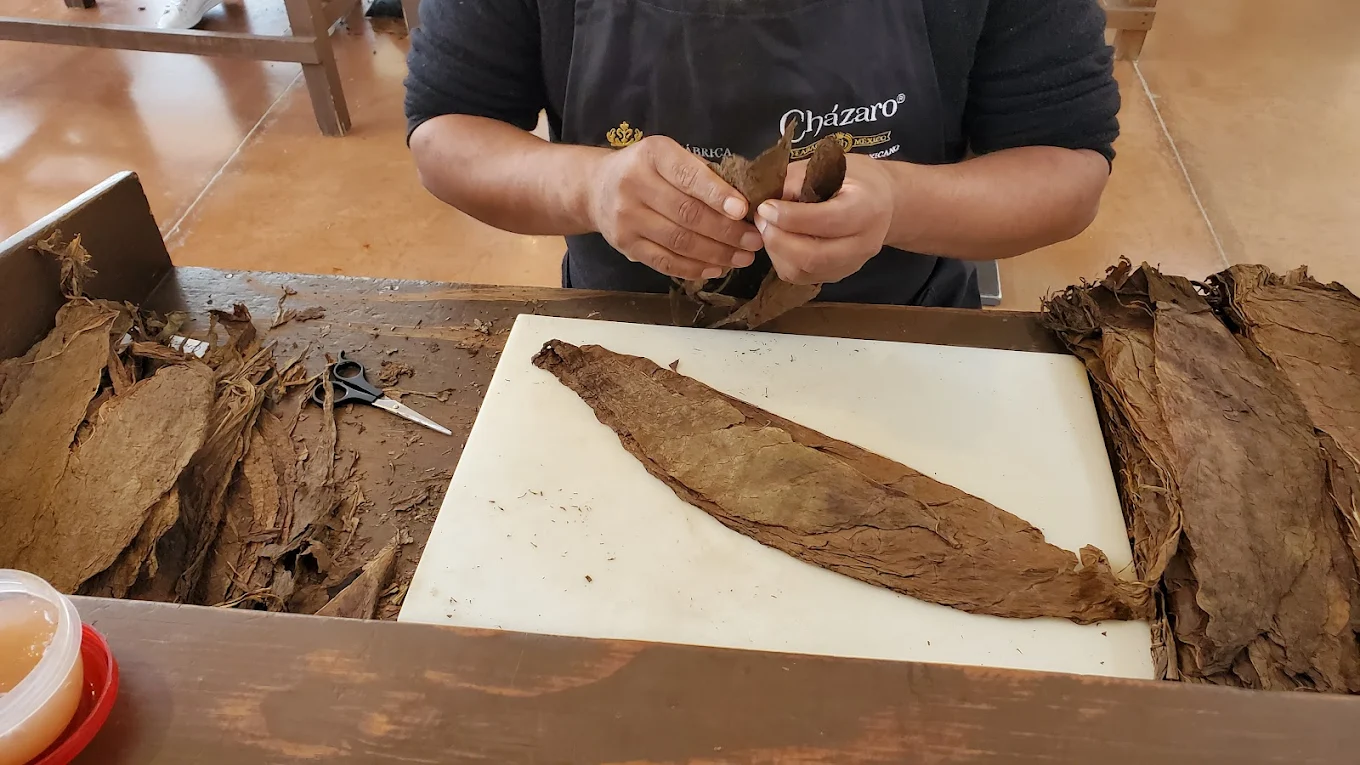 Real Fábrica de Tabacos 9